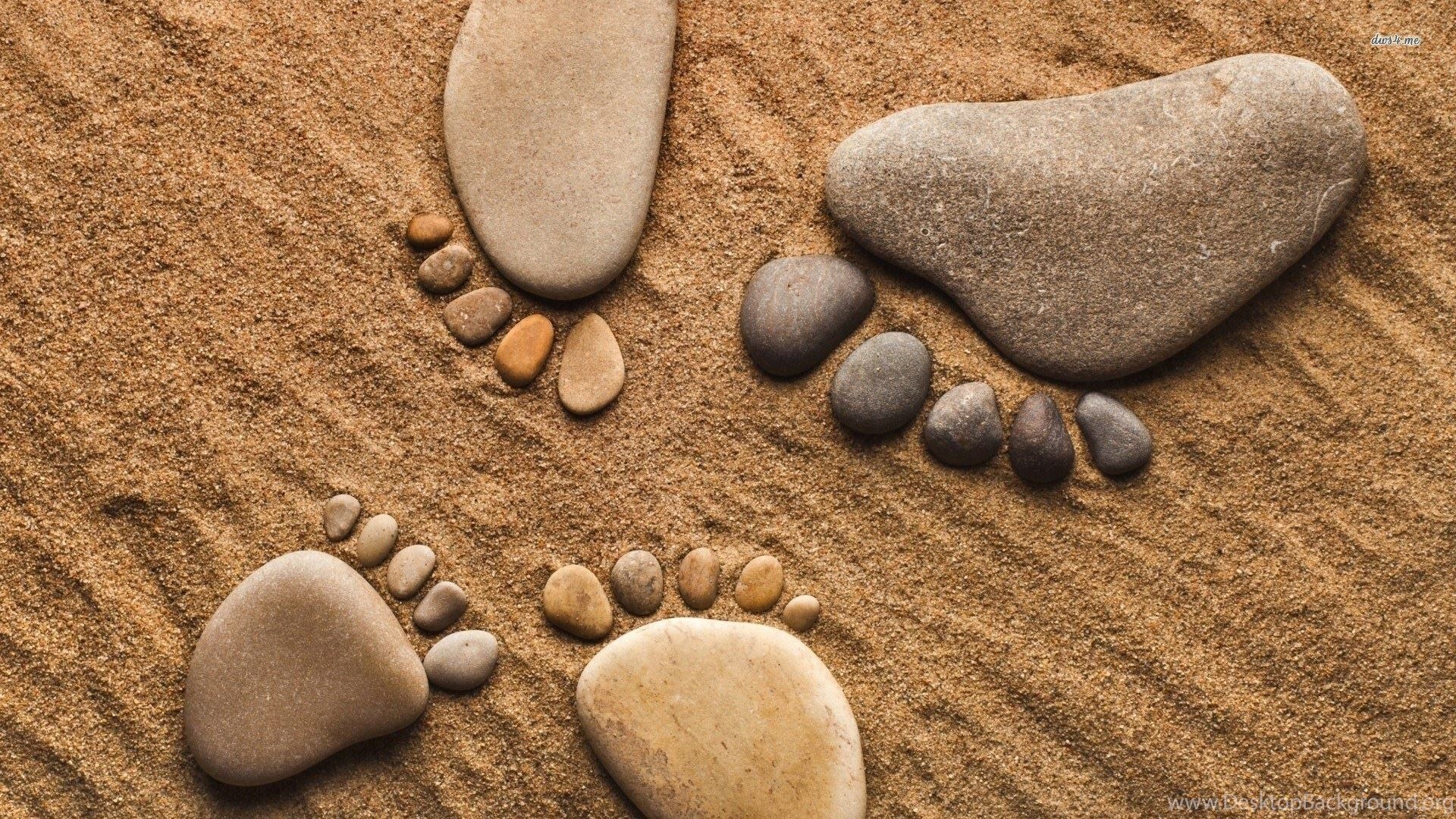 the Earthing Institute